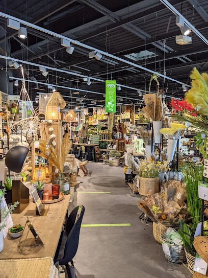 Casa France, Boutique de Cadeaux à Vendenheim