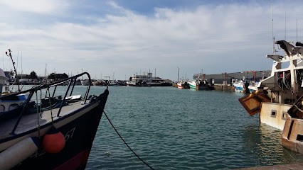 L'Îlot Lamp' Créations Le Port, Boutique de Cadeaux à Granville