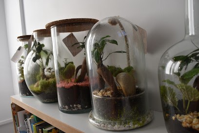 Mini_monde_terrarium, Boutique de Cadeaux à Rive-de-Gier