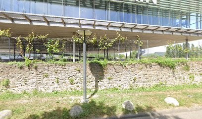 Emporium Boutique Du Musée De Saint-Romain-en-Gal, Boutique de Cadeaux à Saint-Romain-en-Gal
