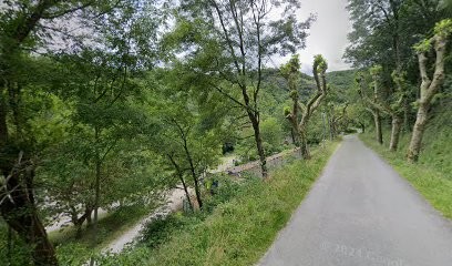 Au Coeur des Livres, Boutique de Cadeaux à Dourgne
